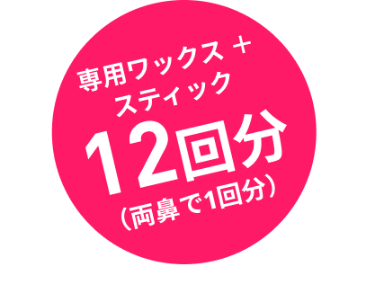12回分