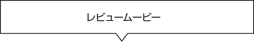 レビュー動画