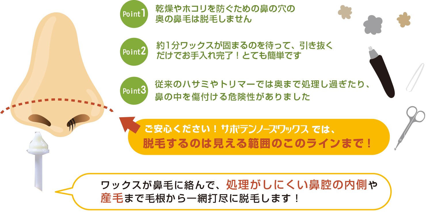 乾燥やホコリを防ぐための鼻の穴の奥の鼻毛は脱毛しません。約1分ワックスが固まるのを待って、引き抜くだけでお手入れ完了！